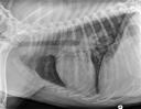 Case of the day