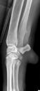 Case of the day