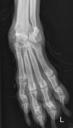 Case of the day