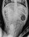 case of the day