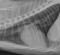 lateral_thorax