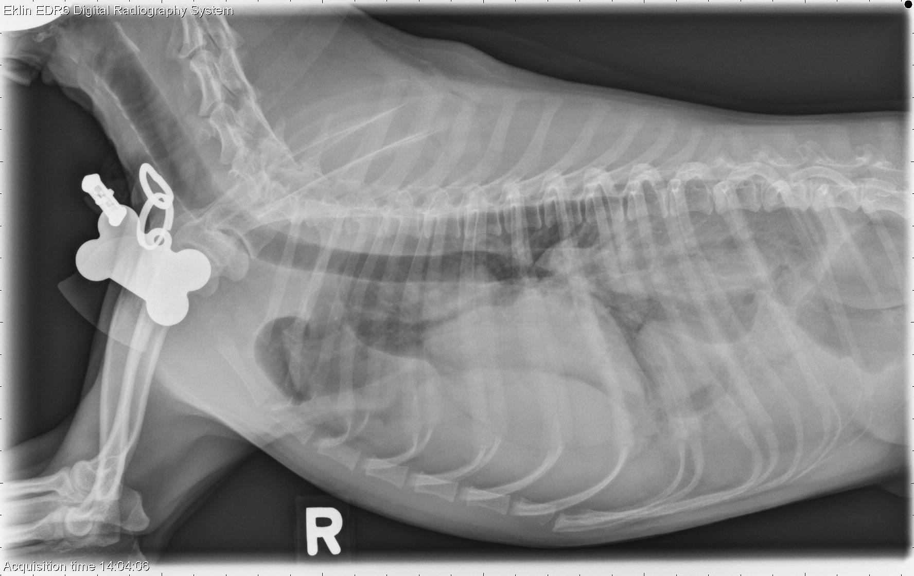 presents for 18 month old