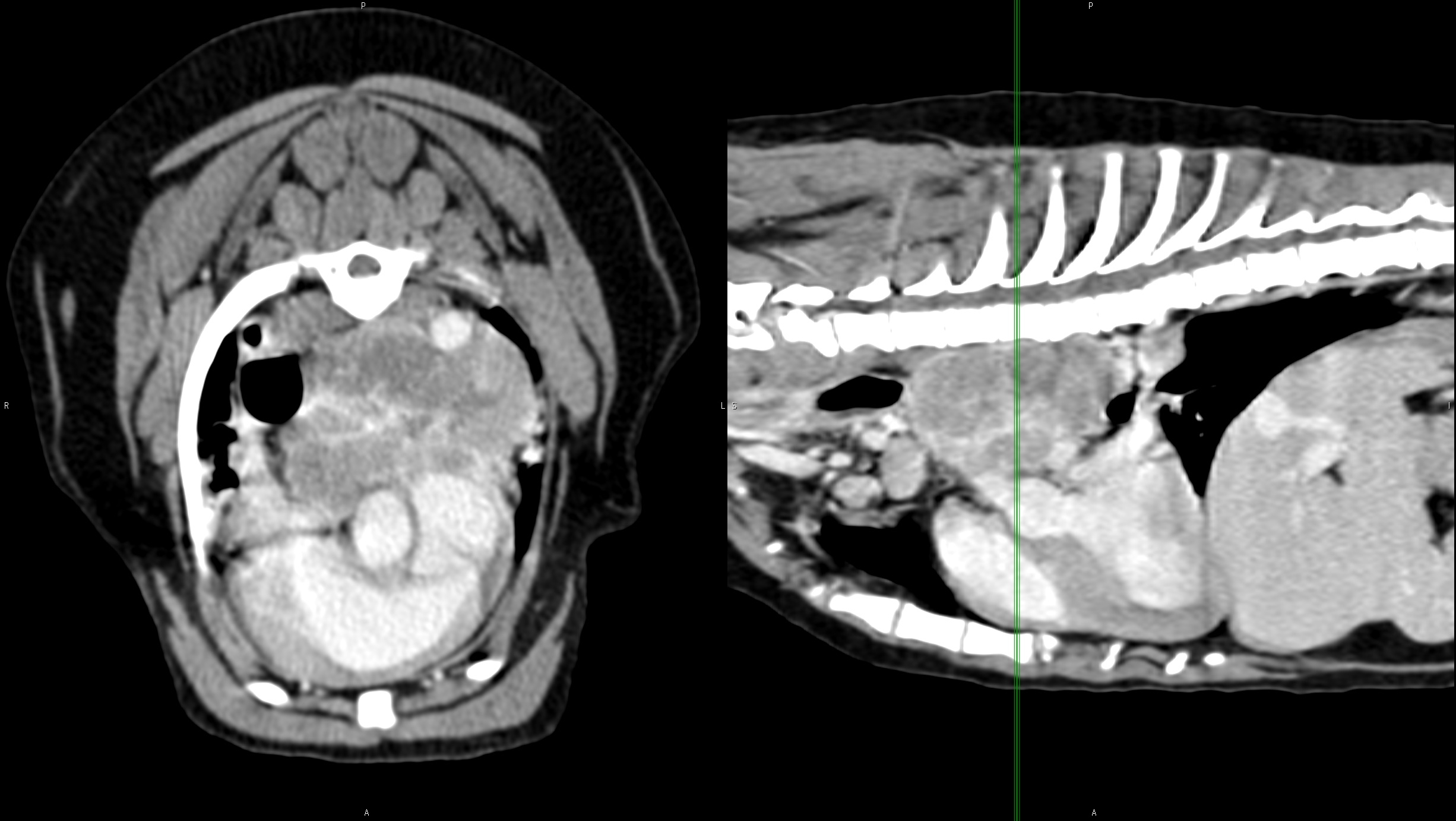 Chemodectoma, Contrast