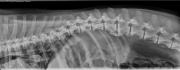 cod180222_1